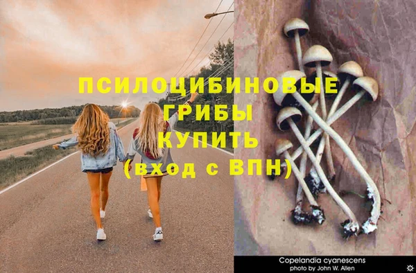 а пвп мука Алексеевка