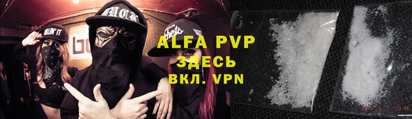 индика Алексин
