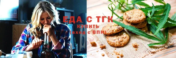 индика Алексин