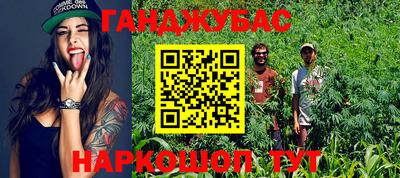 ГАЛЛЮЦИНОГЕННЫЕ ГРИБЫ Гатчина