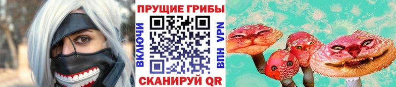 Галлюциногенные грибы Psilocybine cubensis Можга