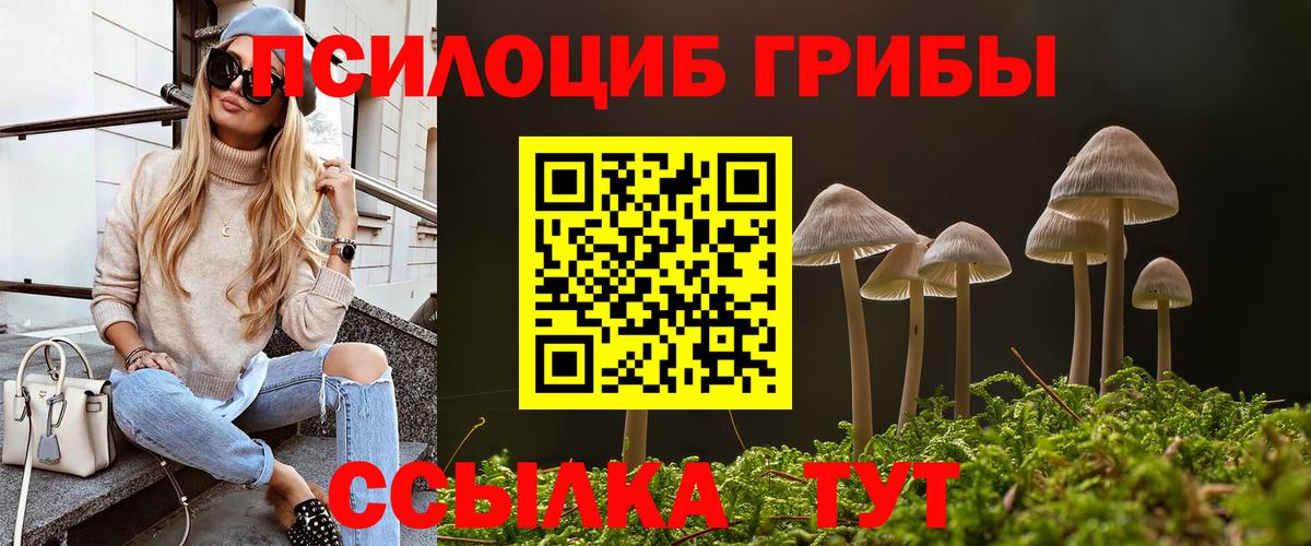 Можга  купить наркоту  Вход с VPN  Псилоцибиновые грибы GOLDEN TEACHER  Псилоцибиновые грибы GOLDEN TEACHER 