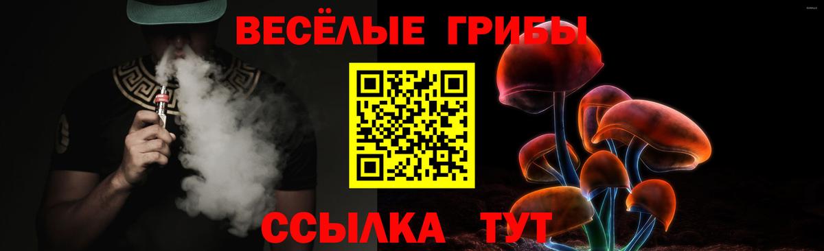 Галлюциногенные грибы GOLDEN TEACHER Можга